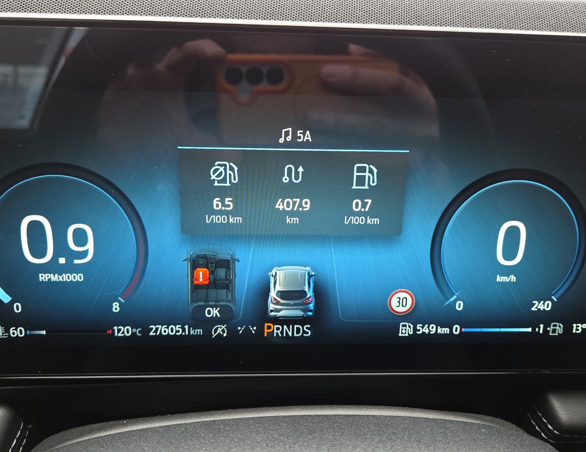Ford Puma употребяван