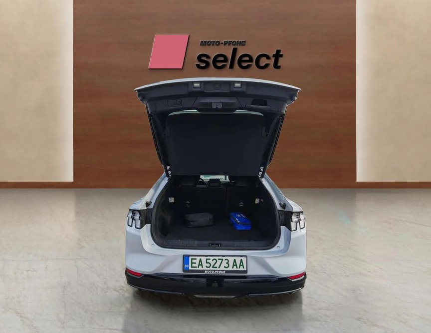 Ford Mach-E употребяван