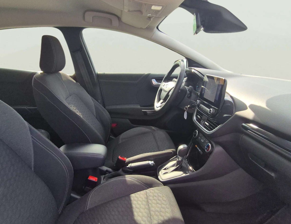 Ford Puma употребяван