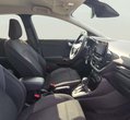 Ford Puma употребяван