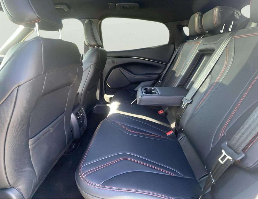 Ford Mach-E употребяван