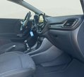 Ford Puma употребяван
