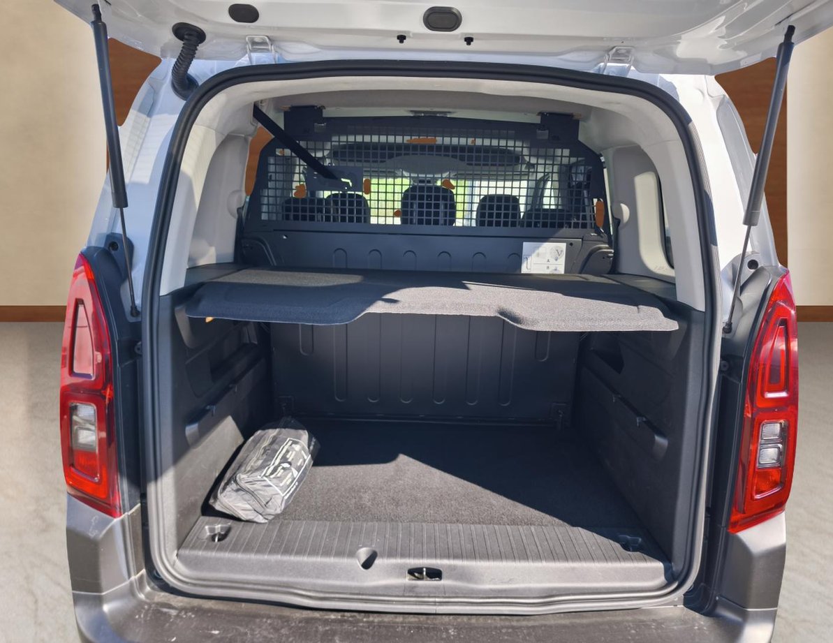 Citroen Berlingo употребяван