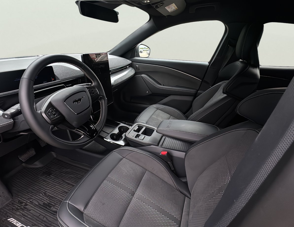 Ford Mach-E употребяван