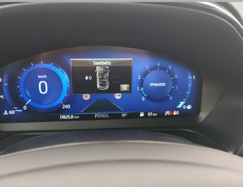 Ford Puma употребяван