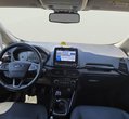 Ford EcoSport употребяван