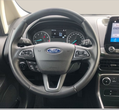 Ford EcoSport употребяван