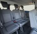 Ford Custom употребяван