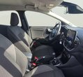 Ford Puma употребяван