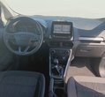 Ford EcoSport употребяван