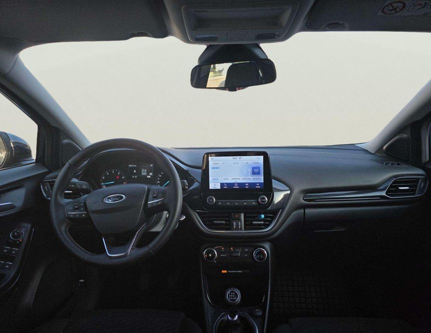 Ford Puma употребяван