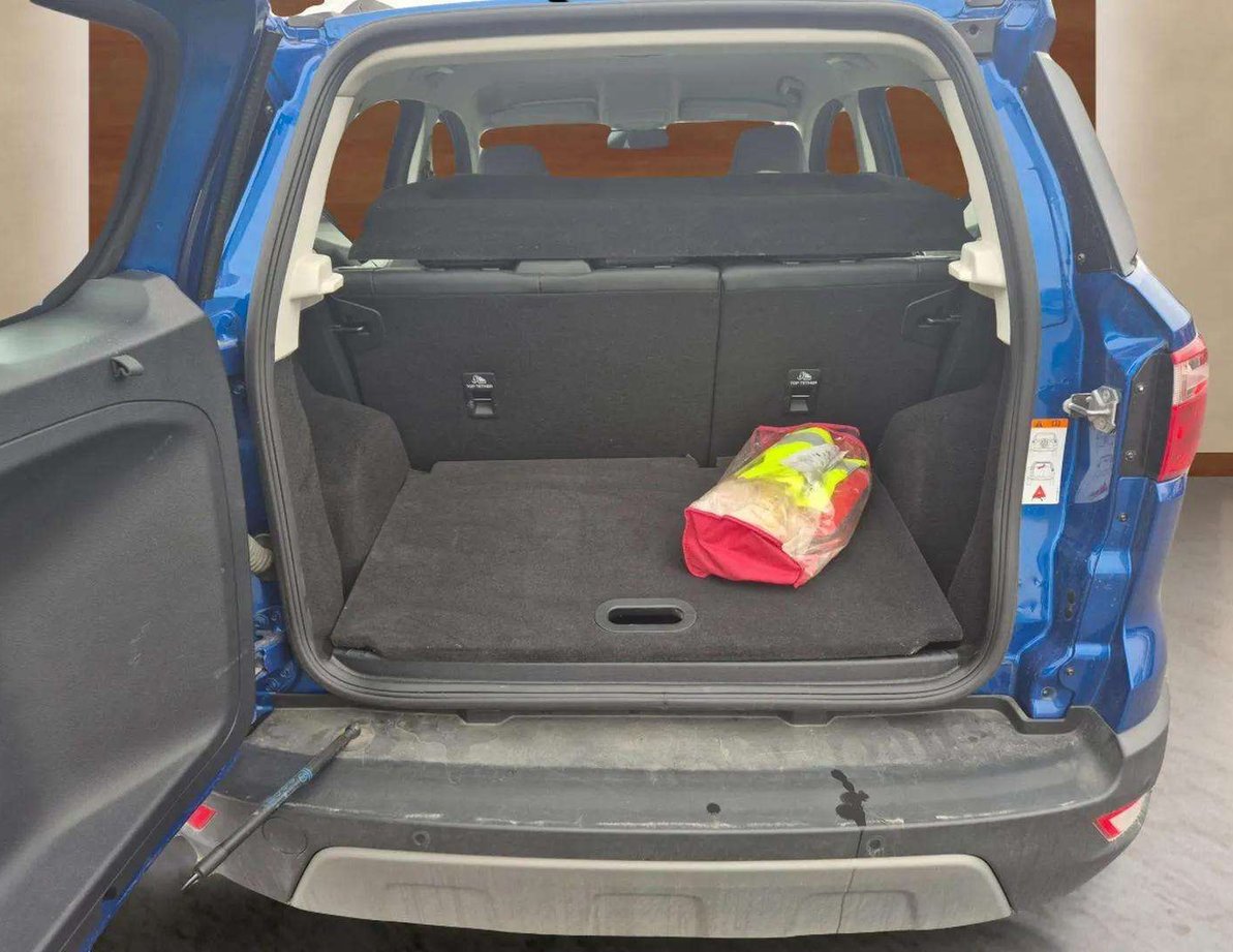 Ford EcoSport употребяван