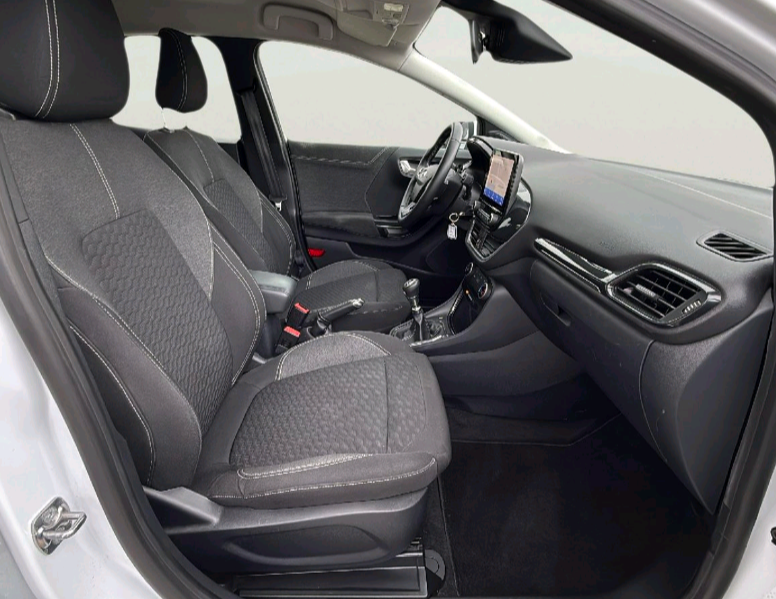 Ford Puma употребяван