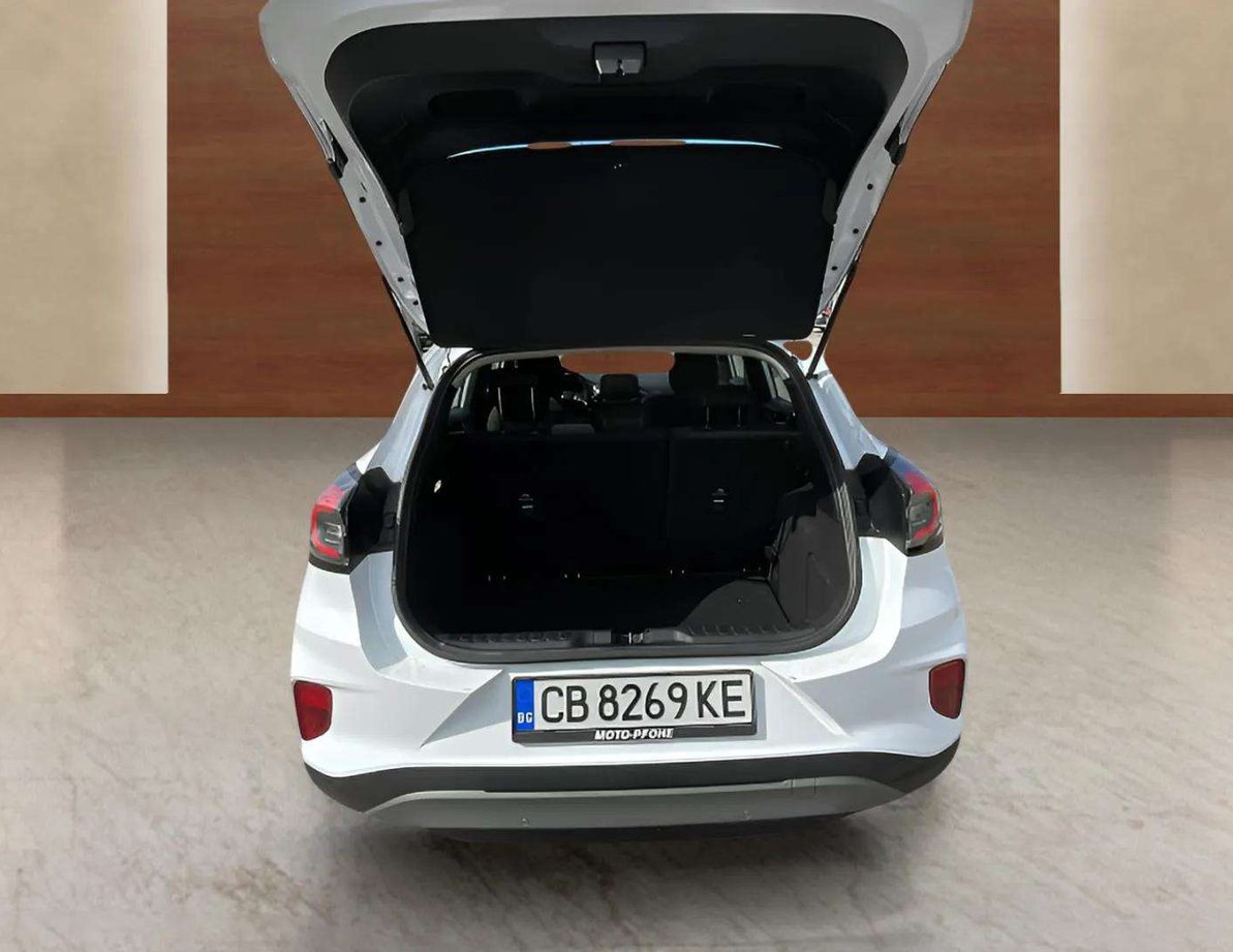 Ford Puma употребяван