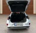 Ford Puma употребяван