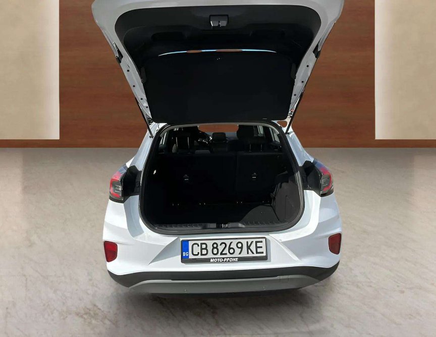 Ford Puma употребяван