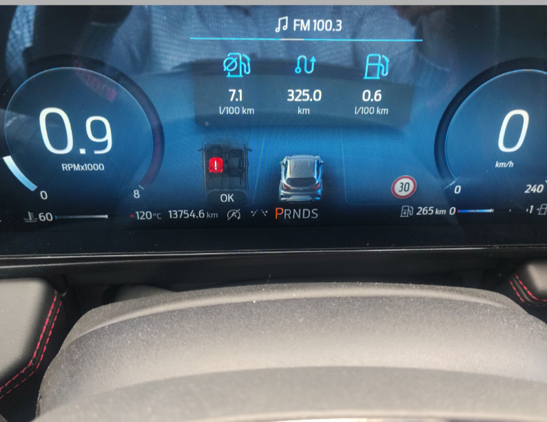 Ford Puma употребяван