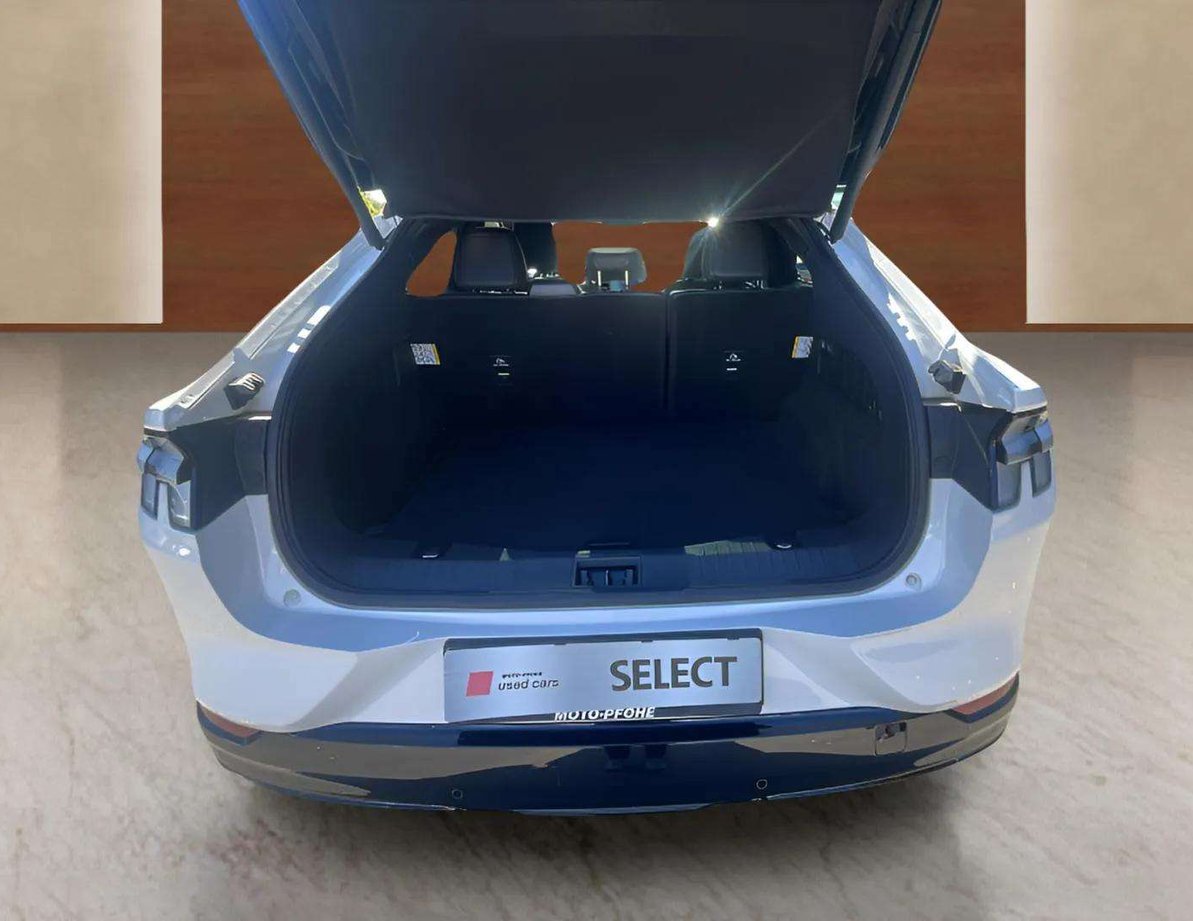 Ford Mach-E употребяван