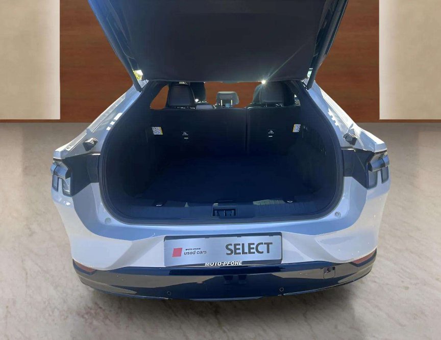 Ford Mach-E употребяван