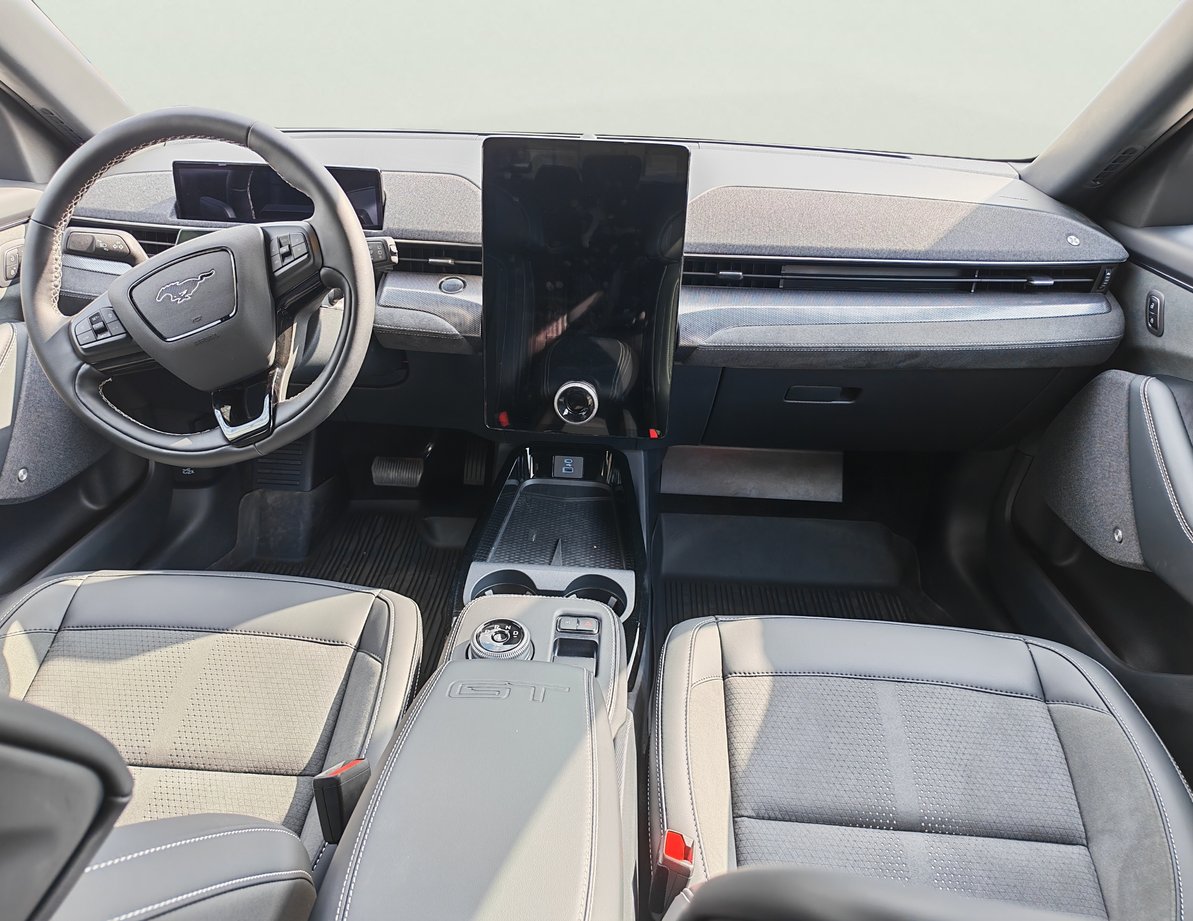 Ford Mach-E употребяван