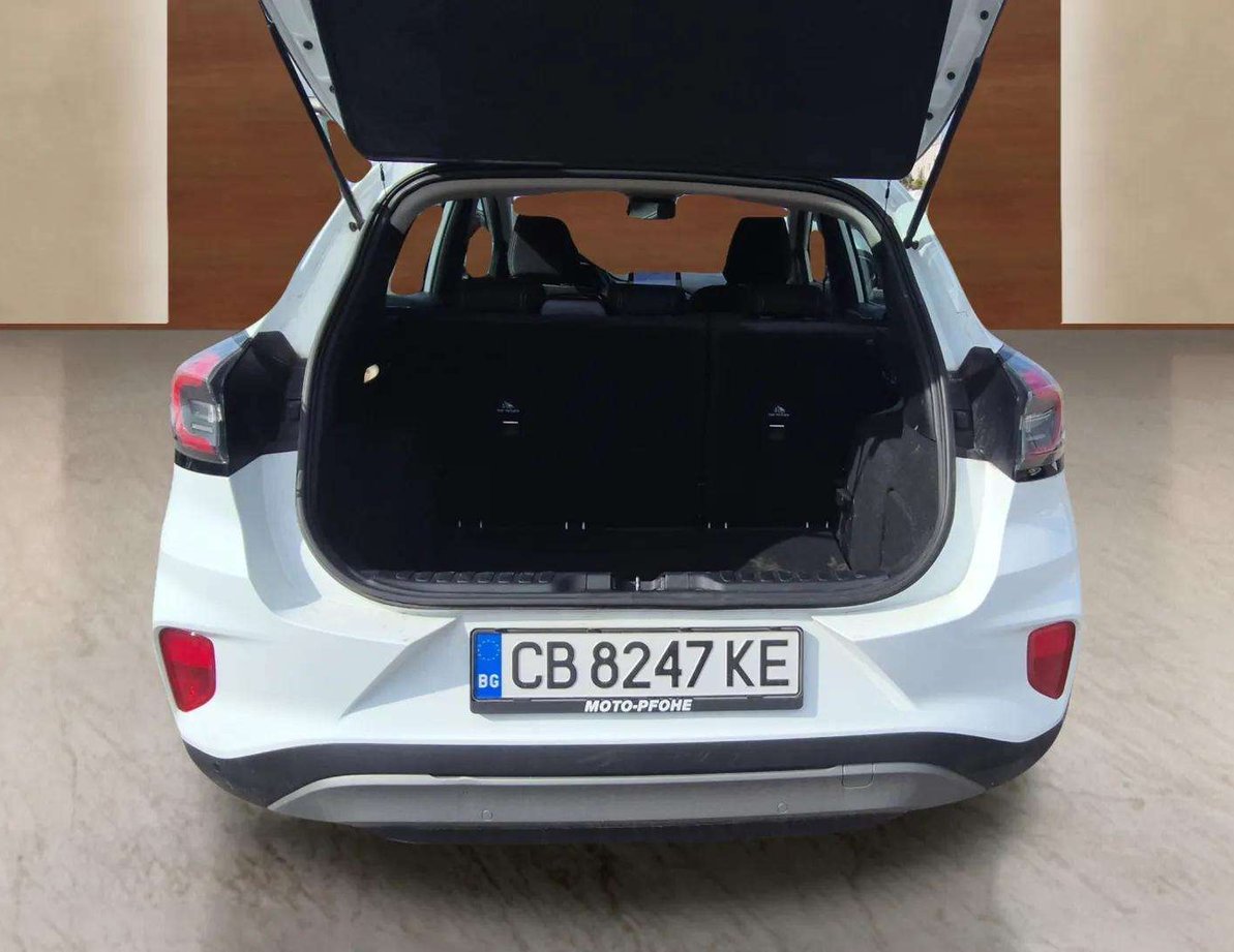 Ford Puma употребяван