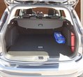 Ford Focus употребяван