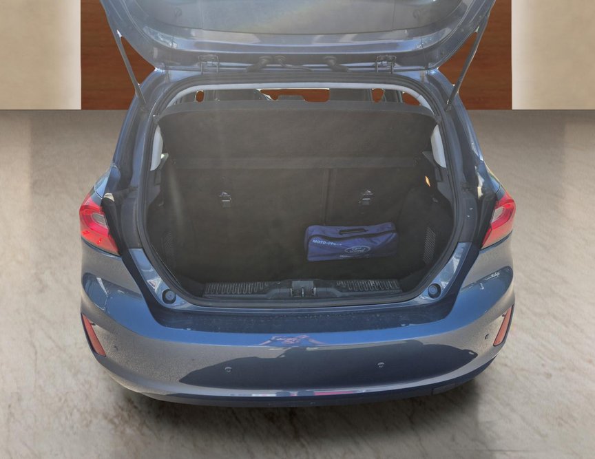 Ford Fiesta употребяван