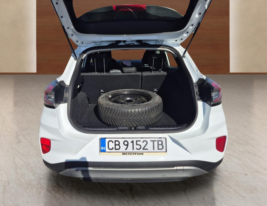 Ford Puma употребяван