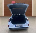 Ford Puma употребяван