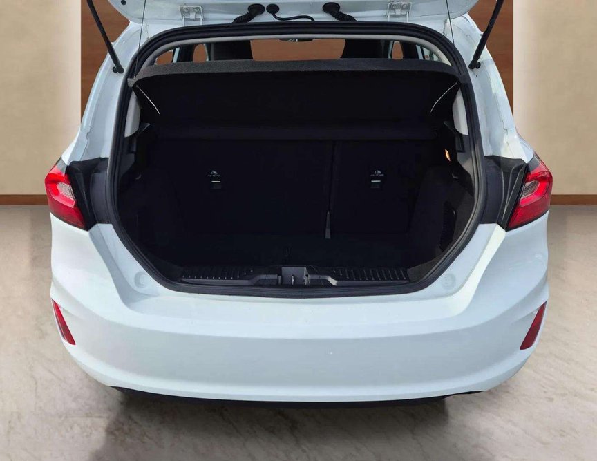 Ford Fiesta употребяван