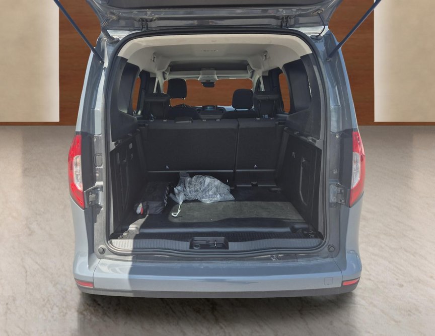Mercedes-Benz Citan употребяван
