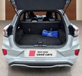Ford Puma употребяван