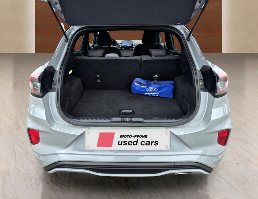 Ford Puma употребяван