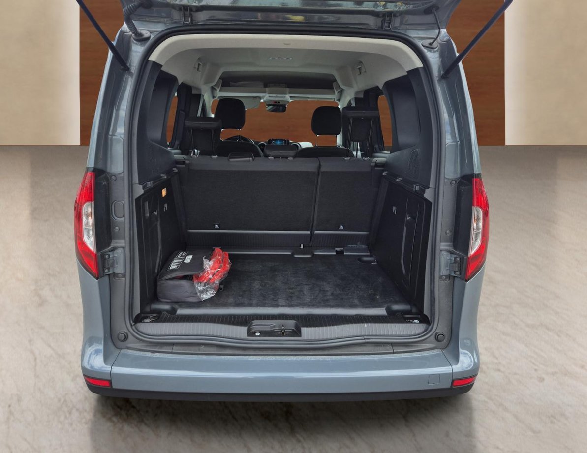 Mercedes-Benz Citan употребяван
