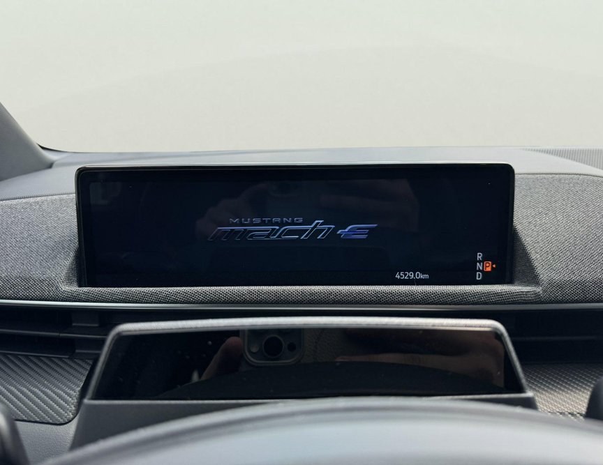 Ford Mach-E употребяван