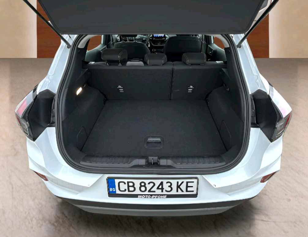 Ford Puma употребяван