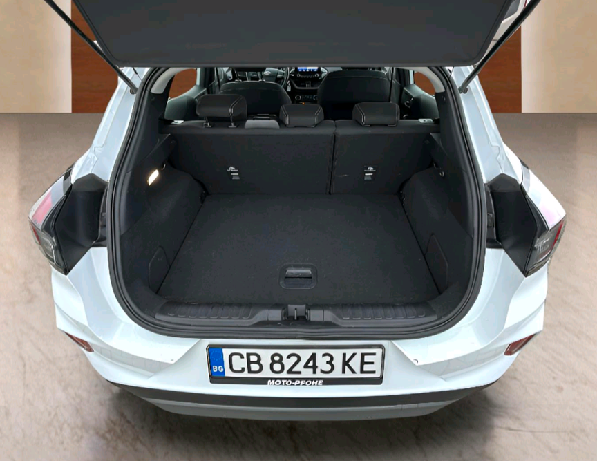 Ford Puma употребяван