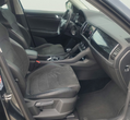Skoda Kodiaq употребяван