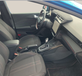 Ford Puma употребяван