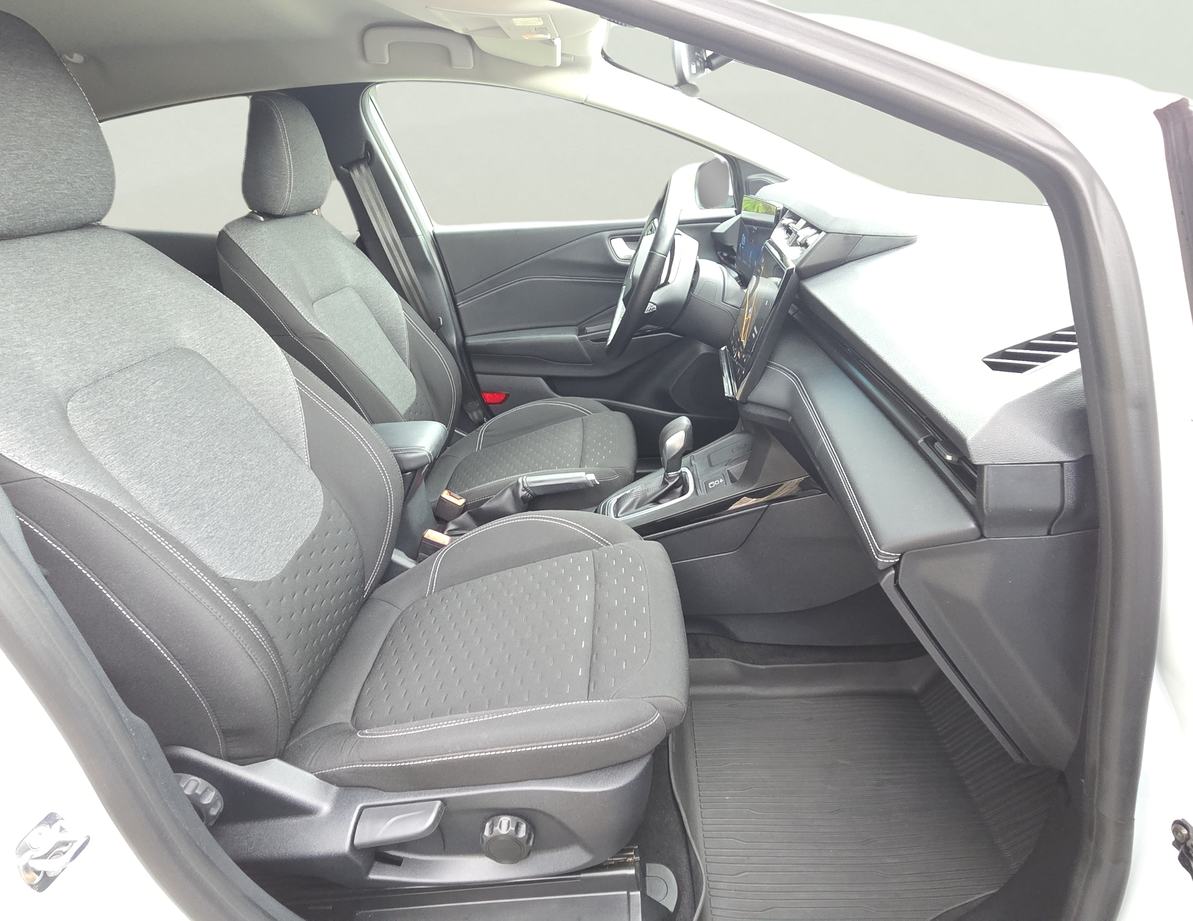 Ford Puma употребяван