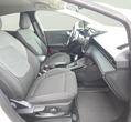 Ford Puma употребяван
