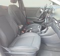 Ford Puma употребяван
