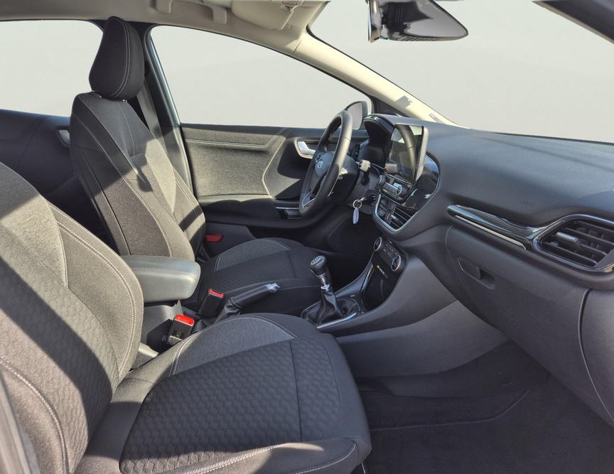 Ford Puma употребяван
