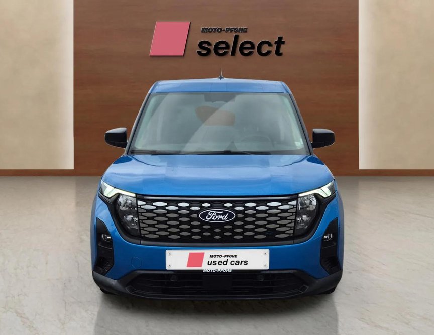 Ford E-Courier употребяван