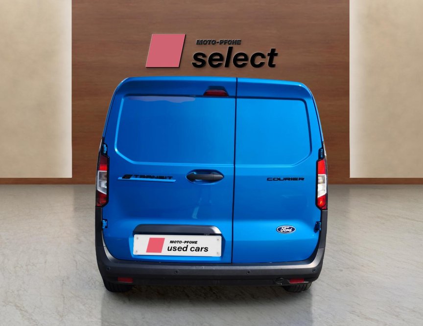 Ford E-Courier употребяван