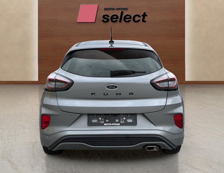 Ford Puma употребяван
