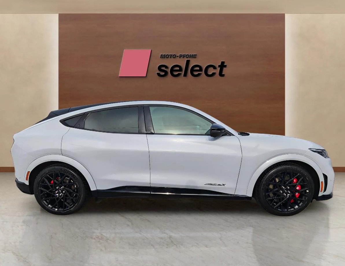 Ford Mach-E употребяван