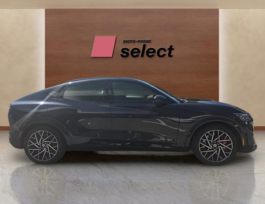 Ford Mach-E употребяван