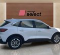 Ford Kuga употребяван