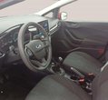 Ford Fiesta употребяван